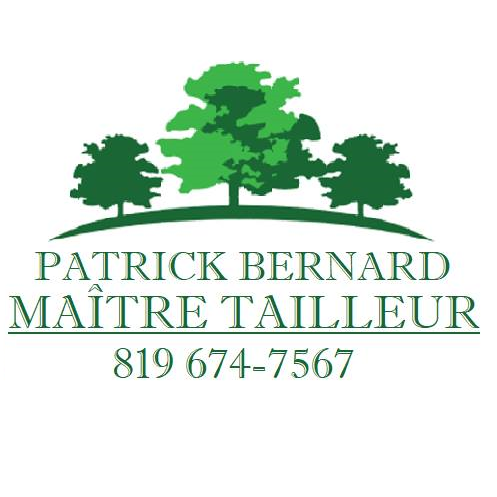 Taille de haies de cèdre & taillage d'arbustes à sherbrooke | patrick bernard maîtretailleur