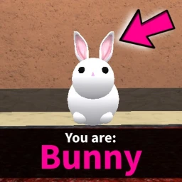 🐰 BUNNY