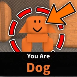 🧡 DOG X999