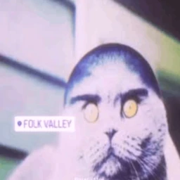 📍 FOLK VALLEY BATTLEGROUNDS