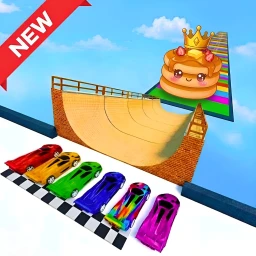 MEGA RAMP FOR DUMPLING
