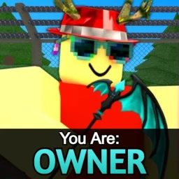 👑 OWNER