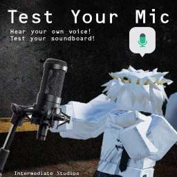 Test Your Mic