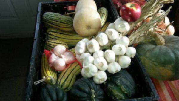Paniers personnalisés de fruits et légumes - maferme.ca
